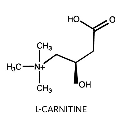 L-carnitine