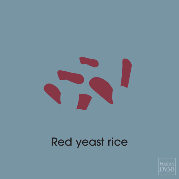 Red yeast rice extract