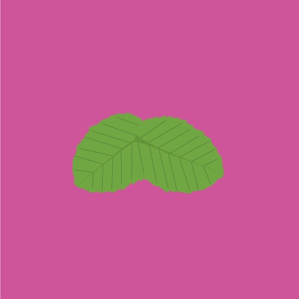 Peppermint