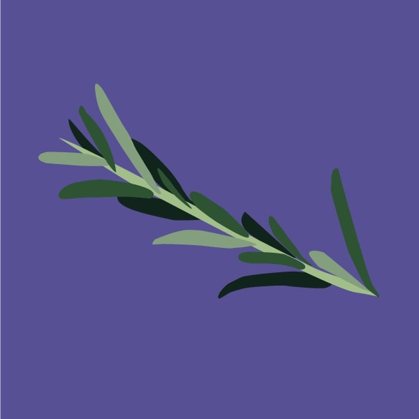 Rosemary