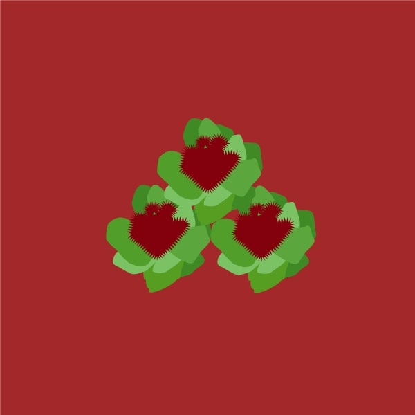 Rhodiola