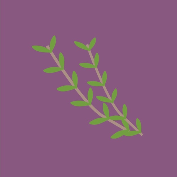 Thyme