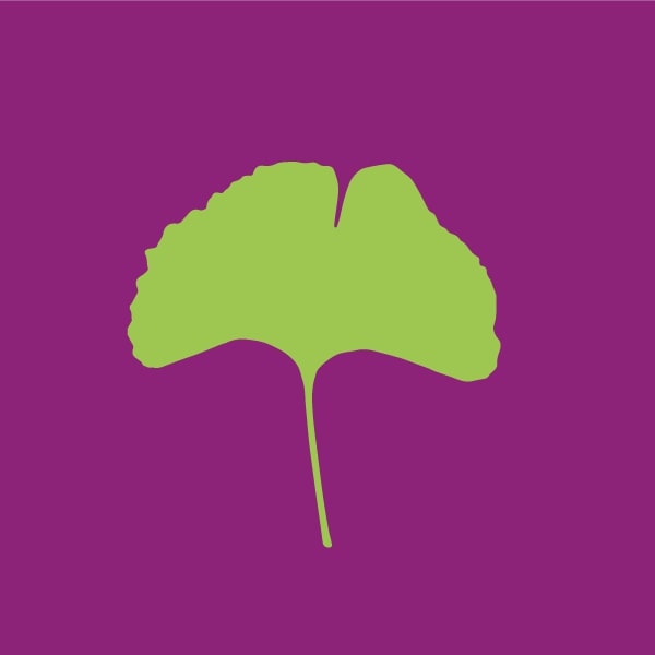 Ginkgo