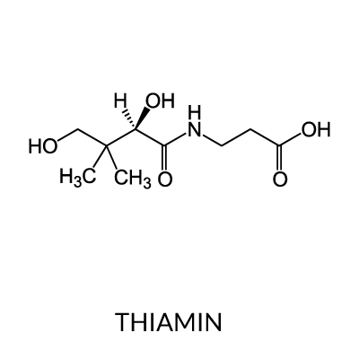 Thiamin (Vitamin B1)