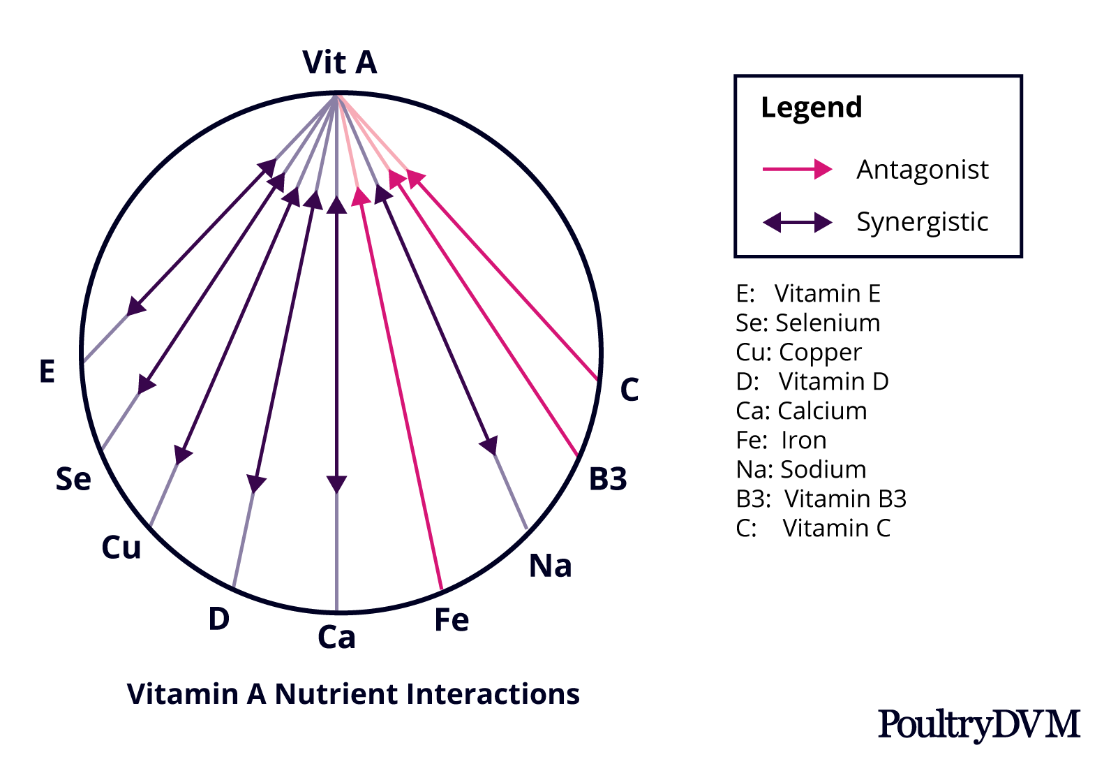 Vitamin A nutrient interactions