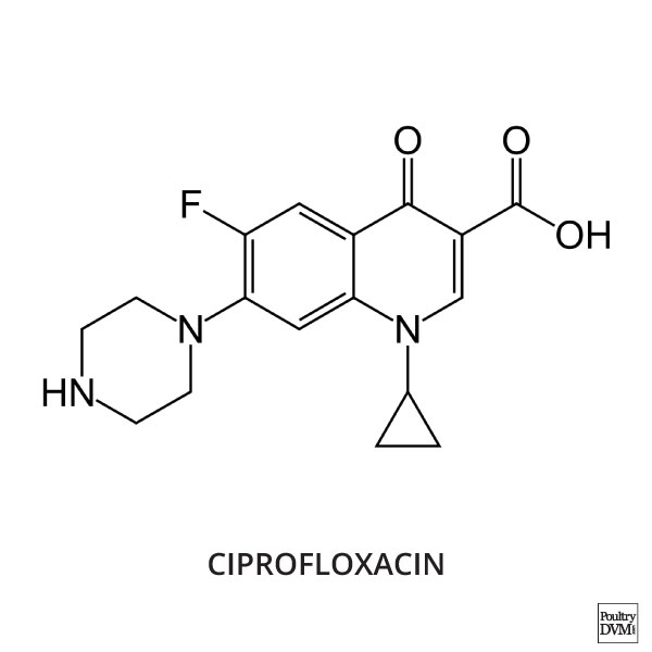 Buy Cipro Online Usa