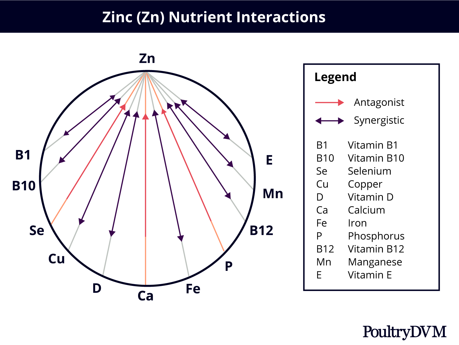 Zinc nutrient interactions