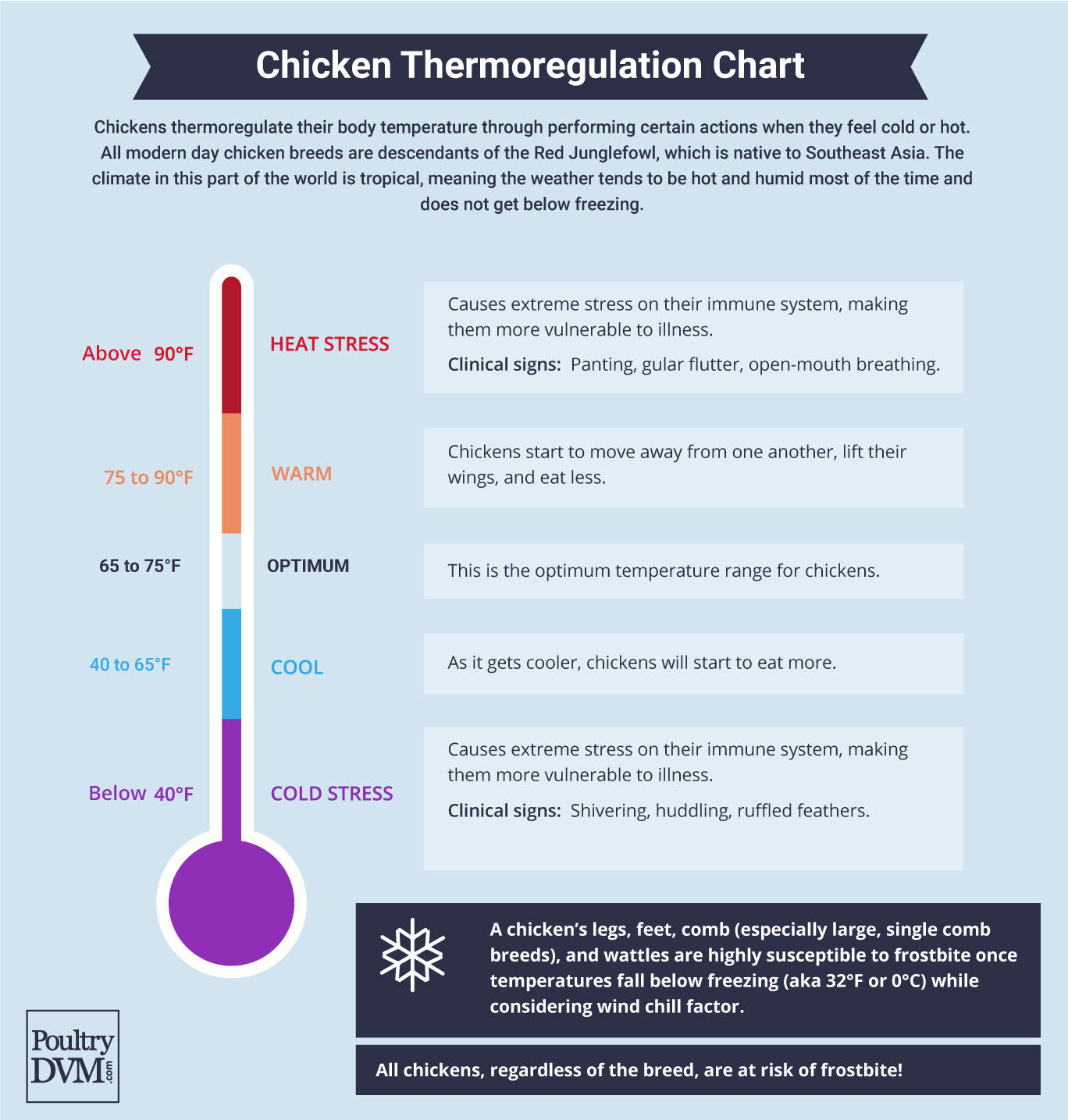 PoultryDVM - Chicken Thermoregulation Chart