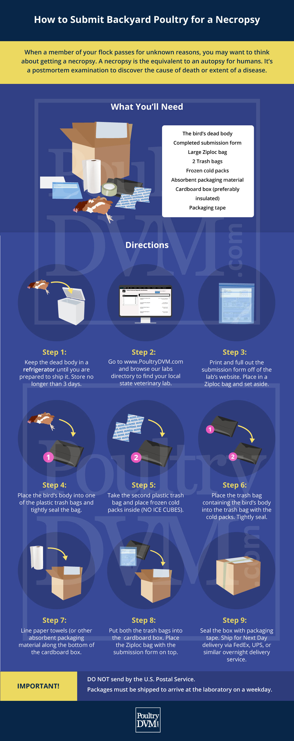 PoultryDVM - Submitting Backyard Poultry for a Necropsy