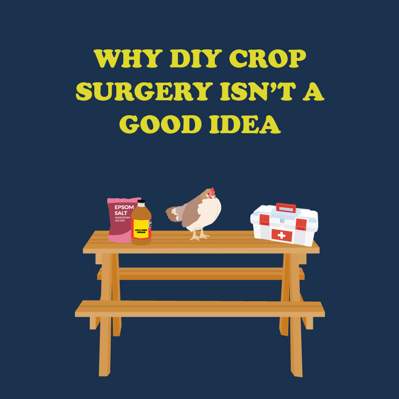 Reasons why DIY Crop Surgery isn’t a good idea