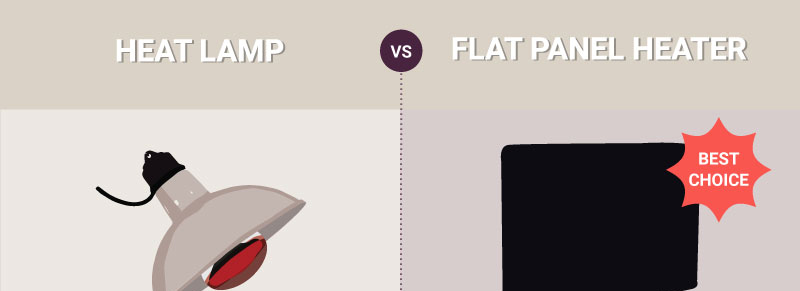 Picture of Flat Panel Heater Vs Heat Lamp Infographic