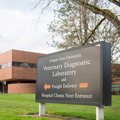 Oregon State University Veterinary Diagnostic Laboratory 