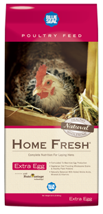 Home Fresh Extra Egg Layer image