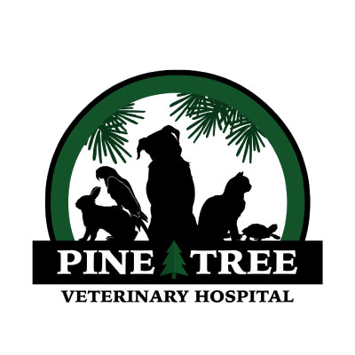 Pine Tree Veterinary Hospital