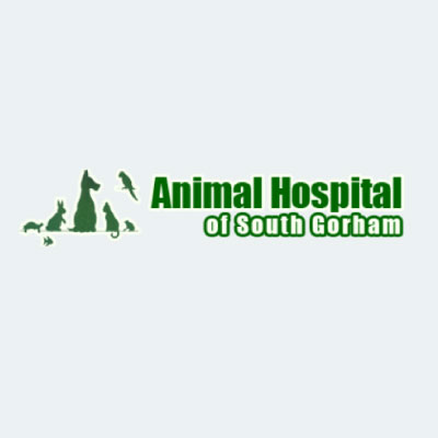 Animal Hospital of South Gorham