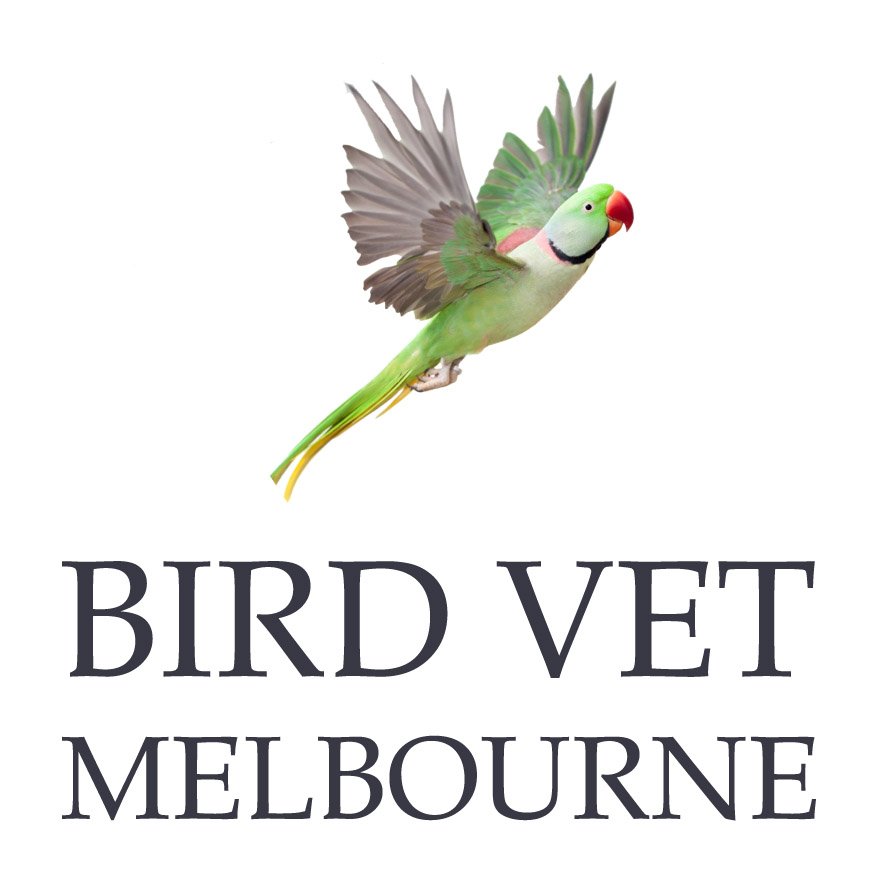 Bird Vet Melbourne Logo