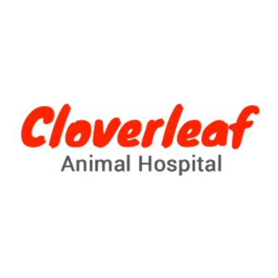 Cloverleaf Animal Hospital