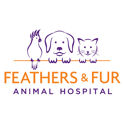 Feathers and Fur Animal Hospital