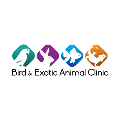 Bird & Exotic Animal Clinic